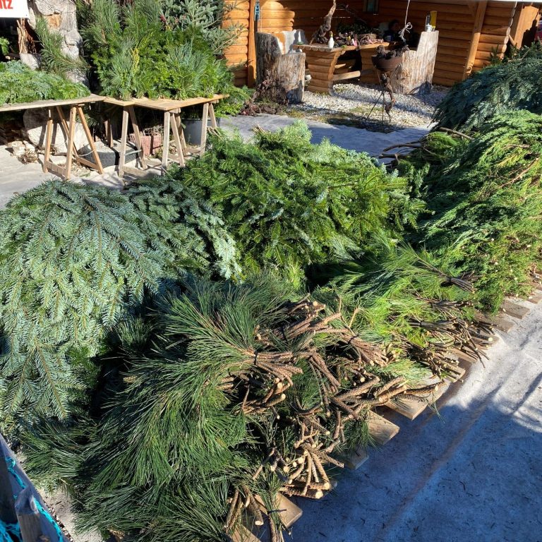 "Frische-Dekozweige-Adventsschmuck-verschiedene-Sorten-zum-Adventskranz-binden"