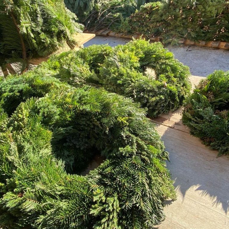 "Frisch-gebundener-Adventskranz-gemischte-Zweige"