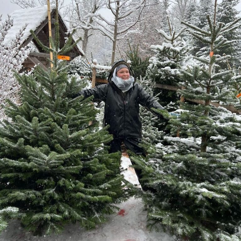 "Nordmanntannen-Christbaum-Wildmoos"