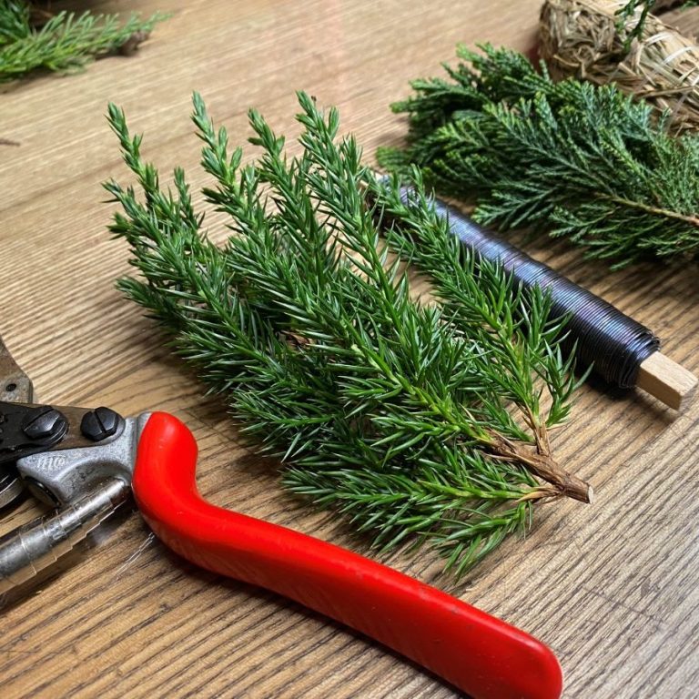 "Schere-Zweig-Wickeldraht-gerne-gehen-wir-auf-Extrawünsche-ein"